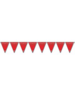 Beistle Indoor/Outdoor Pennant … curated on LTK