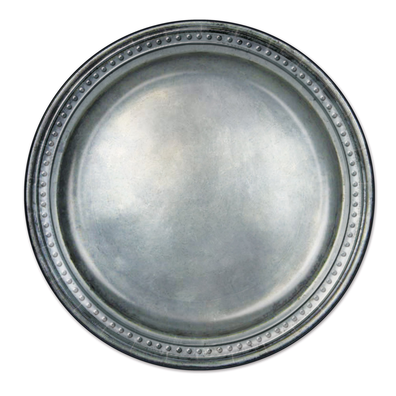 PEWTER Paper Plates